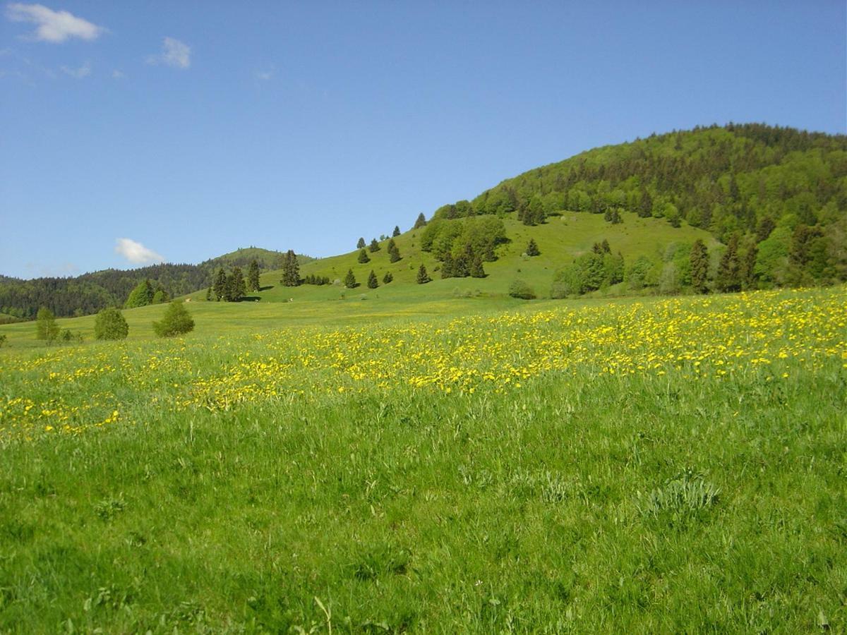 Ferienwohnungen Panoramablick Bernau Exterior foto